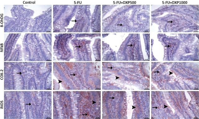 https://cdn.ncbi.nlm.nih.gov/pmc/blobs/7376/11994222/c8c46b008288/j_abm-2025-0006_fig_009.jpg