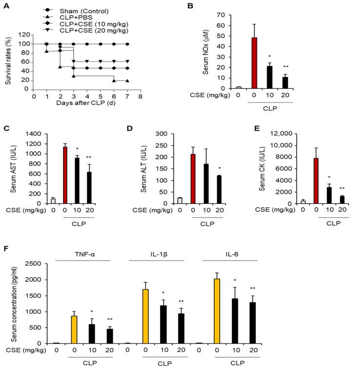 https://cdn.ncbi.nlm.nih.gov/pmc/blobs/7377/11432241/9a6376e147e5/ijms-25-10089-g002.jpg