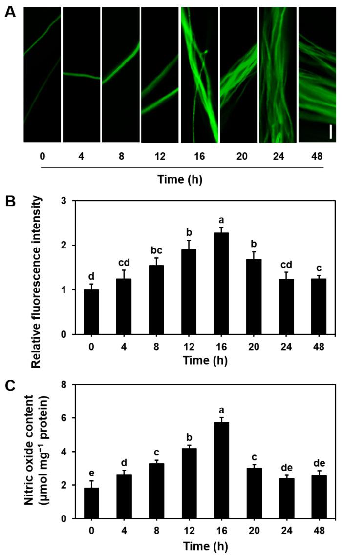 https://cdn.ncbi.nlm.nih.gov/pmc/blobs/7378/12029550/bb046186595d/microorganisms-13-00887-g001.jpg