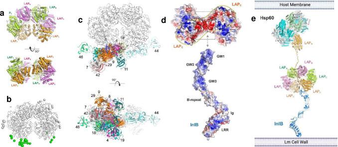 https://cdn.ncbi.nlm.nih.gov/pmc/blobs/7378/12136220/4bcb001c58ee/nihpp-rs6474377v1-f0004.jpg