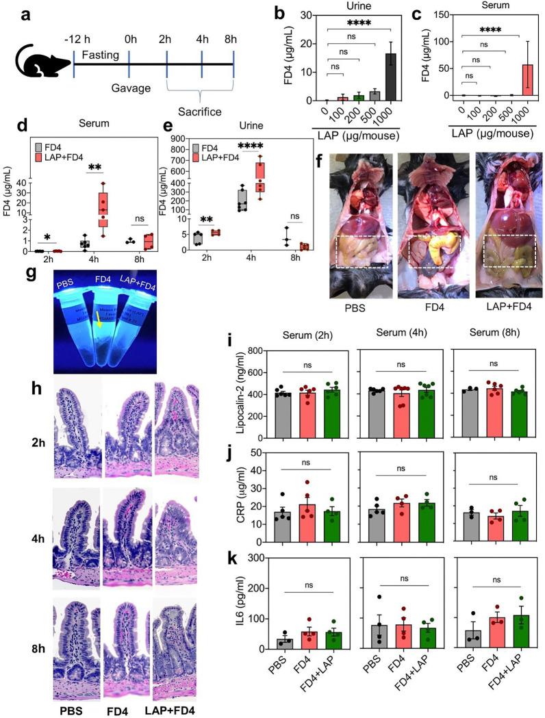 https://cdn.ncbi.nlm.nih.gov/pmc/blobs/7378/12136220/8fcc02349a36/nihpp-rs6474377v1-f0006.jpg