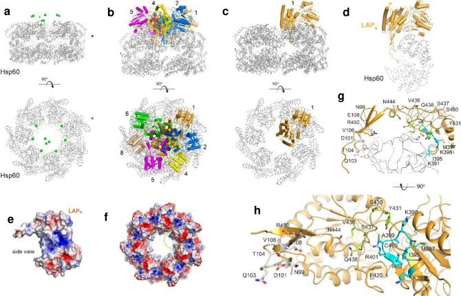 https://cdn.ncbi.nlm.nih.gov/pmc/blobs/7378/12136220/e2bd8550df35/nihpp-rs6474377v1-f0003.jpg