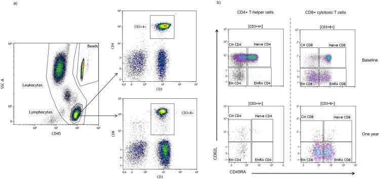 https://cdn.ncbi.nlm.nih.gov/pmc/blobs/737b/6996838/d51afc7cb5cf/pone.0228380.g002.jpg