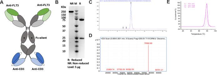 https://cdn.ncbi.nlm.nih.gov/pmc/blobs/737b/8921914/2a95116e73e6/jitc-2021-003882f01.jpg