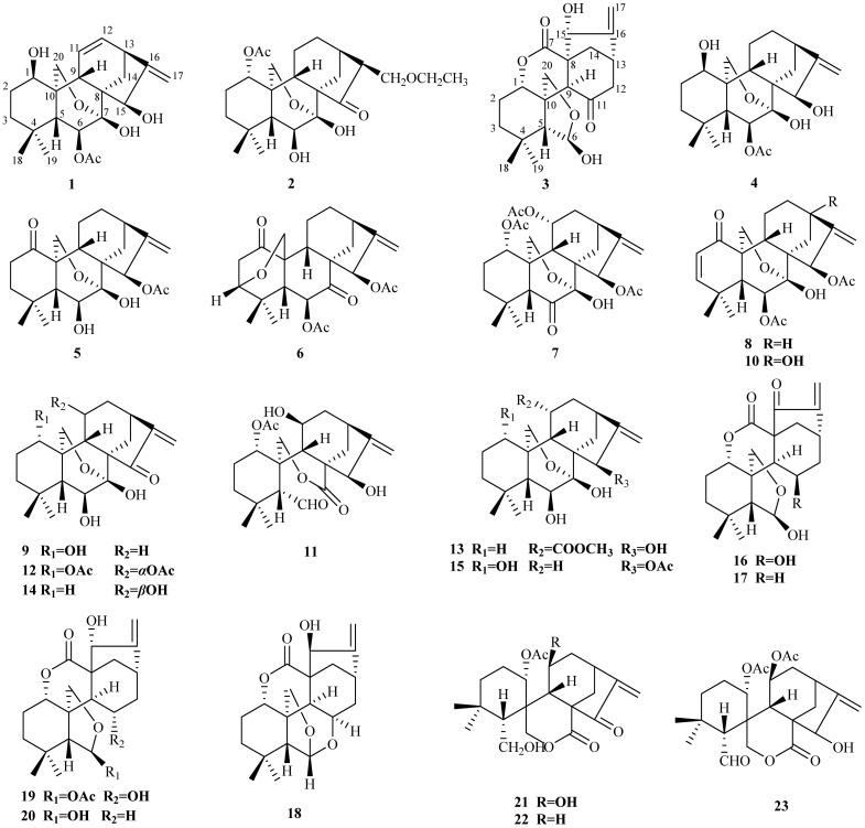 https://cdn.ncbi.nlm.nih.gov/pmc/blobs/737c/12183791/3a642c7171d7/d5ra02720a-f1.jpg