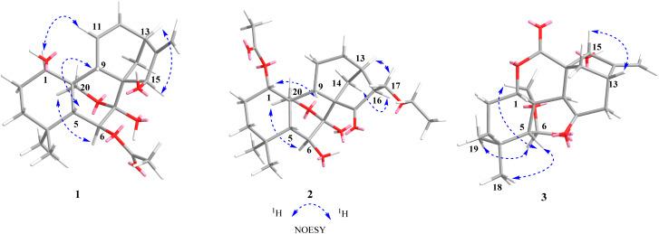https://cdn.ncbi.nlm.nih.gov/pmc/blobs/737c/12183791/c71a3ee5596d/d5ra02720a-f3.jpg