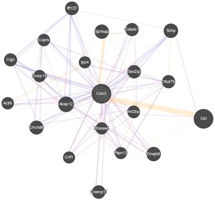 https://cdn.ncbi.nlm.nih.gov/pmc/blobs/737e/7533519/c88cb63b01bf/MMR-22-05-3645-g07.jpg