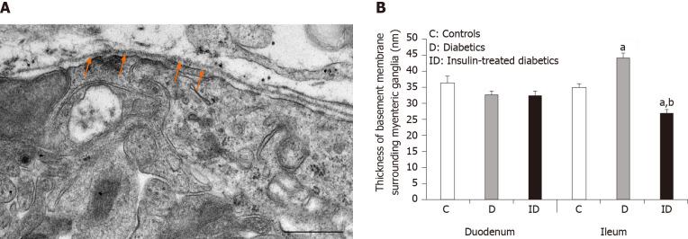 https://cdn.ncbi.nlm.nih.gov/pmc/blobs/737f/8107976/3c33680774b2/WJD-12-658-g001.jpg