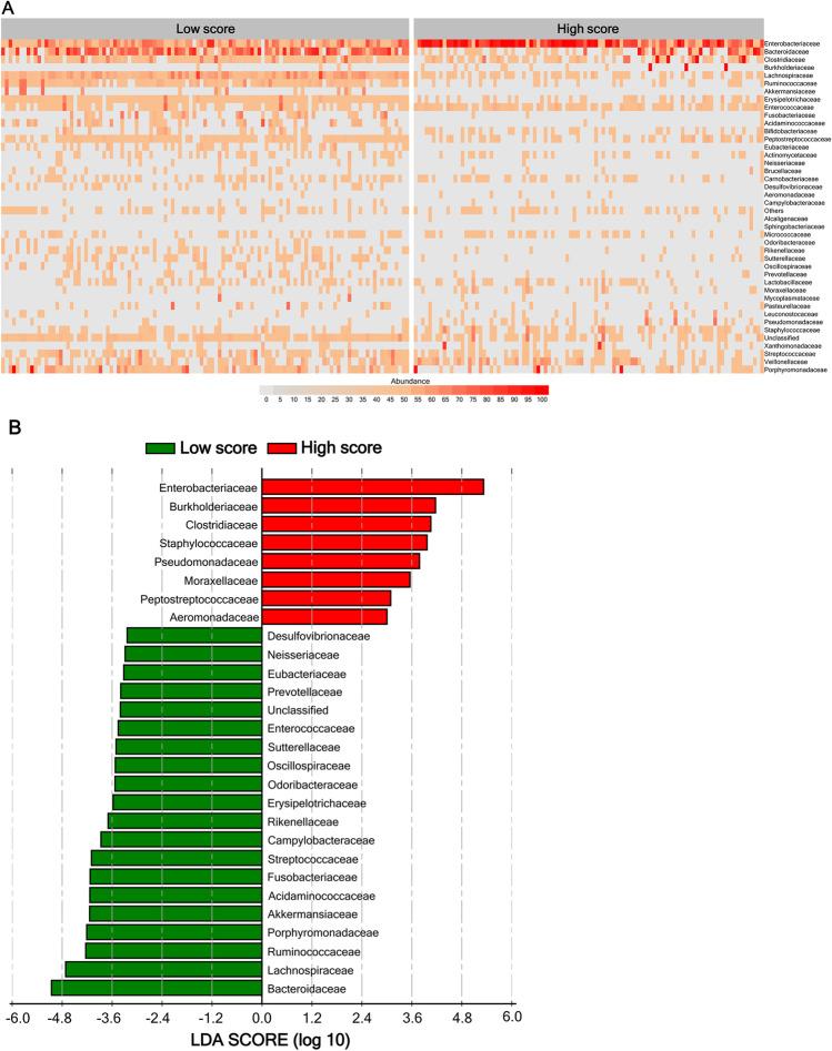 https://cdn.ncbi.nlm.nih.gov/pmc/blobs/737f/9072276/e5e2d90922e4/277_2022_4817_Fig3_HTML.jpg