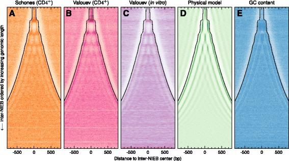 https://cdn.ncbi.nlm.nih.gov/pmc/blobs/7381/4966569/3ff69939ff2e/12864_2016_2880_Fig3_HTML.jpg