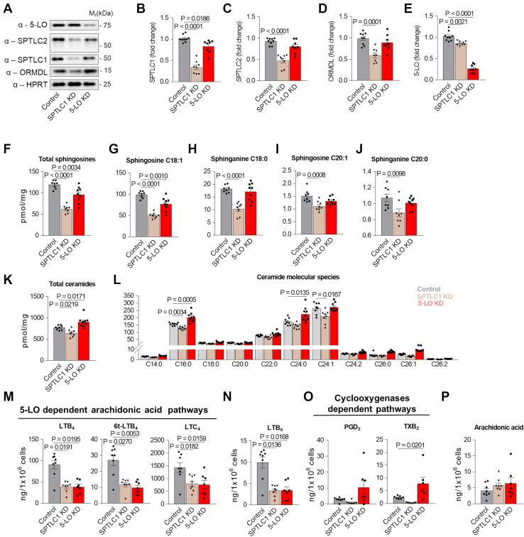 https://cdn.ncbi.nlm.nih.gov/pmc/blobs/7382/8527048/566d88302a6a/gr6.jpg