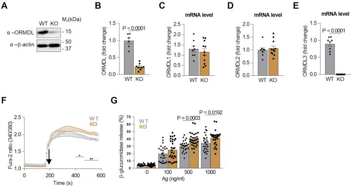 https://cdn.ncbi.nlm.nih.gov/pmc/blobs/7382/8527048/56a5378af11a/gr1.jpg