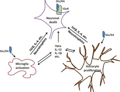 https://cdn.ncbi.nlm.nih.gov/pmc/blobs/7383/3131729/c05d1d004193/CN-9-388_F6.jpg