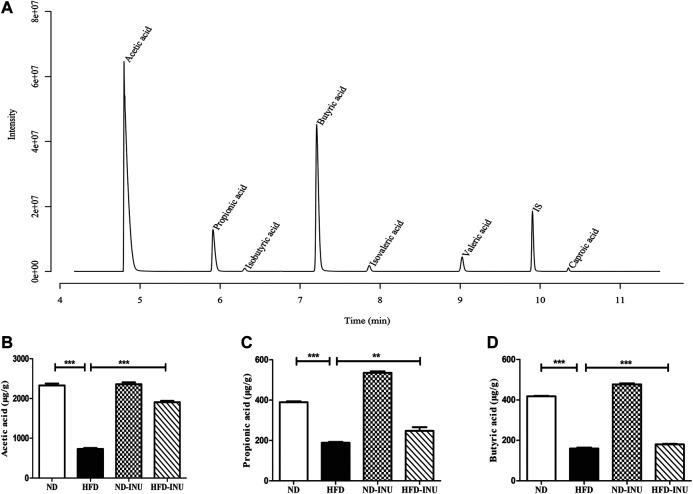 https://cdn.ncbi.nlm.nih.gov/pmc/blobs/7383/7774311/08335ef38642/fphar-11-558525-g007.jpg
