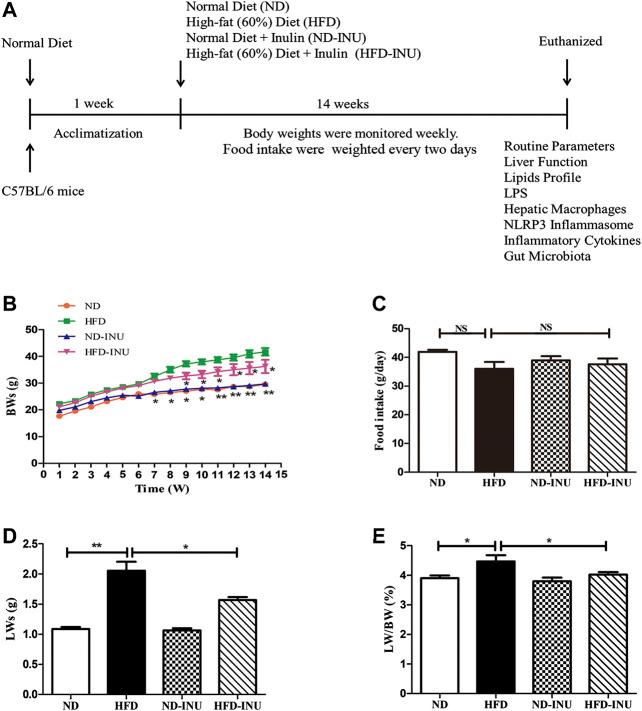 https://cdn.ncbi.nlm.nih.gov/pmc/blobs/7383/7774311/5125cc6a99c6/fphar-11-558525-g001.jpg
