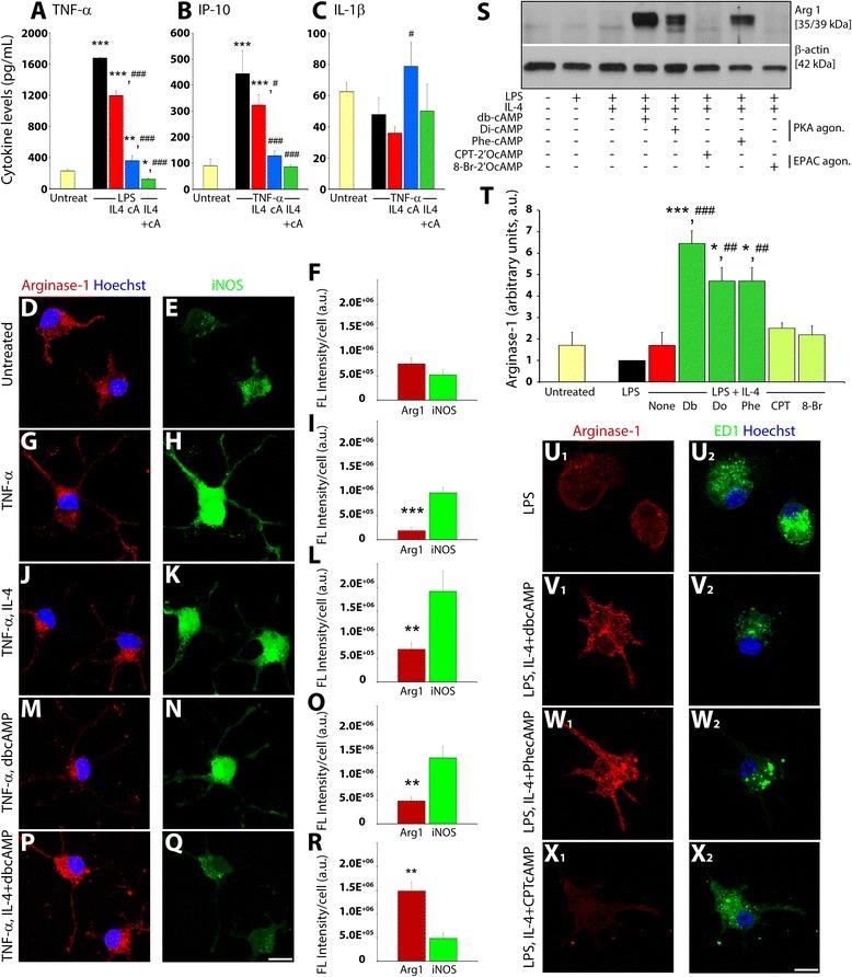 https://cdn.ncbi.nlm.nih.gov/pmc/blobs/7384/4711034/6a42a58da387/12974_2015_463_Fig2_HTML.jpg
