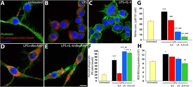 https://cdn.ncbi.nlm.nih.gov/pmc/blobs/7384/4711034/a90afd4ef8f2/12974_2015_463_Fig3_HTML.jpg