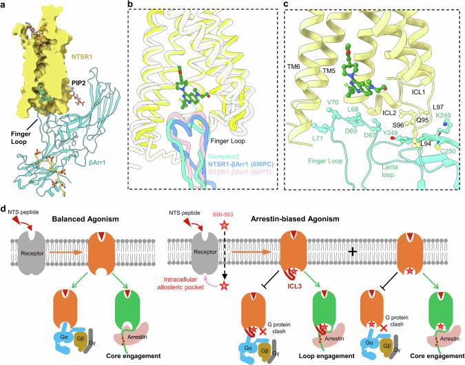 https://cdn.ncbi.nlm.nih.gov/pmc/blobs/7386/11958688/c7e1c10a02e4/41422_2025_1095_Fig5_HTML.jpg