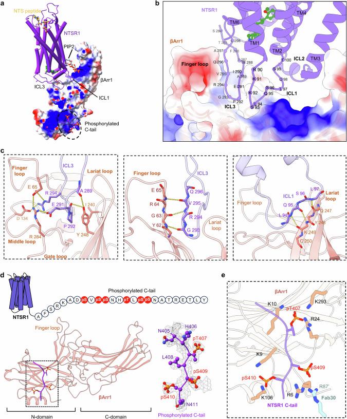 https://cdn.ncbi.nlm.nih.gov/pmc/blobs/7386/11958688/cfe15192b0aa/41422_2025_1095_Fig4_HTML.jpg