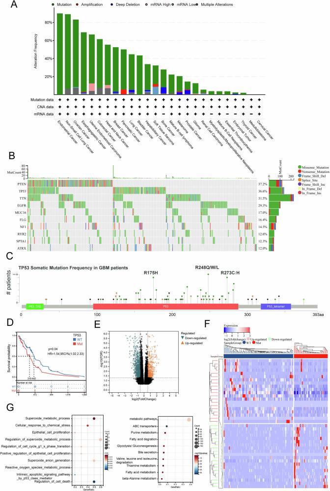https://cdn.ncbi.nlm.nih.gov/pmc/blobs/7387/12343825/b870c2a530f4/41419_2025_7938_Fig1_HTML.jpg