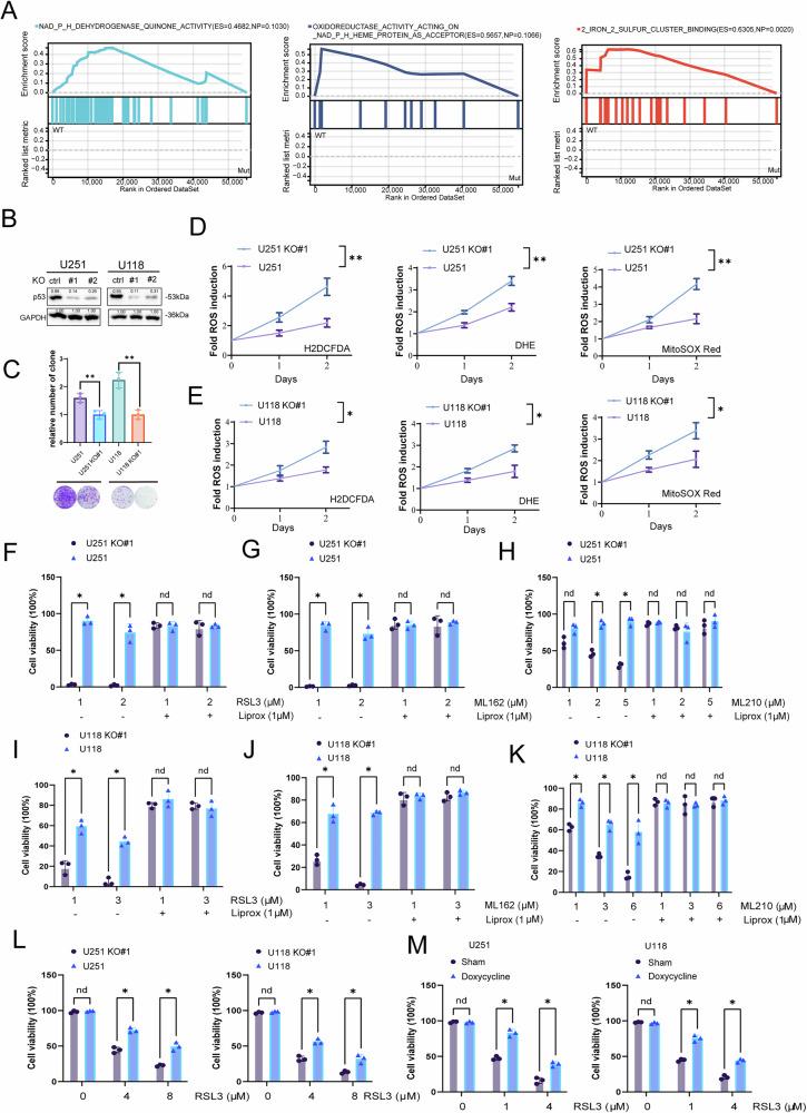 https://cdn.ncbi.nlm.nih.gov/pmc/blobs/7387/12343825/fa0f661e327a/41419_2025_7938_Fig2_HTML.jpg