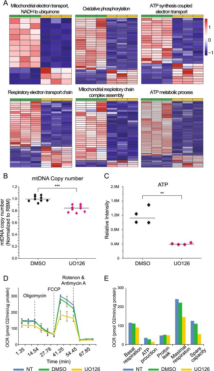 https://cdn.ncbi.nlm.nih.gov/pmc/blobs/7387/9102746/37738a0bf5e8/12915_2022_1309_Fig6_HTML.jpg