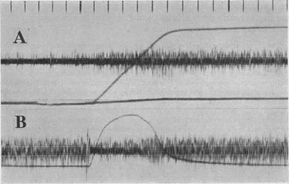 https://cdn.ncbi.nlm.nih.gov/pmc/blobs/7389/1394907/25a42df668c4/jphysiol01625-0017-a.jpg