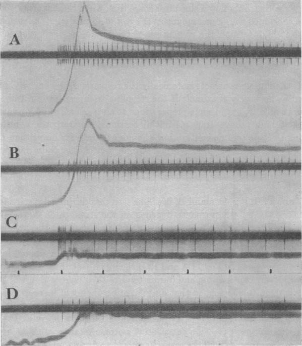 https://cdn.ncbi.nlm.nih.gov/pmc/blobs/7389/1394907/4116660fc02d/jphysiol01625-0037-a.jpg