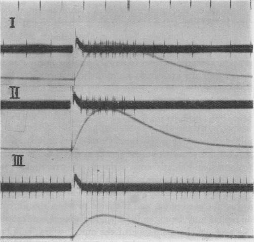 https://cdn.ncbi.nlm.nih.gov/pmc/blobs/7389/1394907/509872cbab52/jphysiol01625-0044-a.jpg