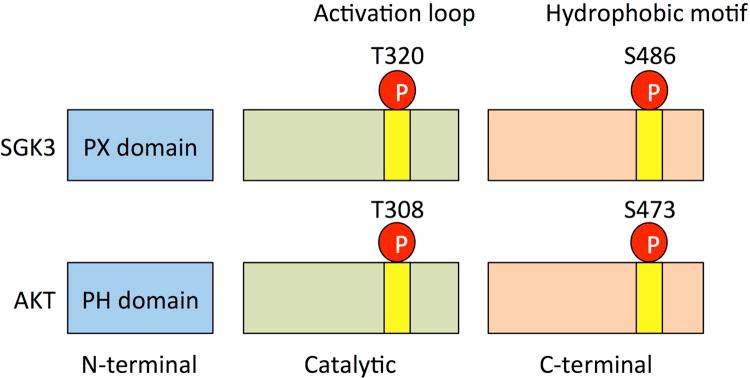 https://cdn.ncbi.nlm.nih.gov/pmc/blobs/7389/6146383/c27c985b676b/gr1.jpg