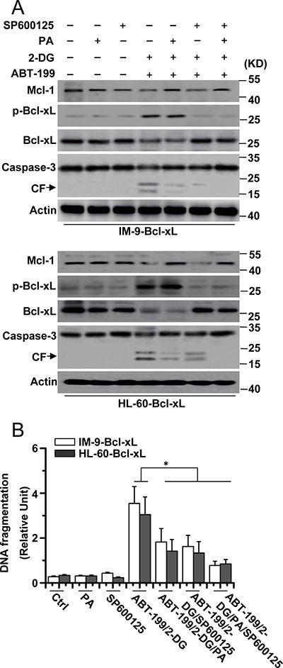 https://cdn.ncbi.nlm.nih.gov/pmc/blobs/738b/5355244/241da814c825/oncotarget-08-11042-g004.jpg