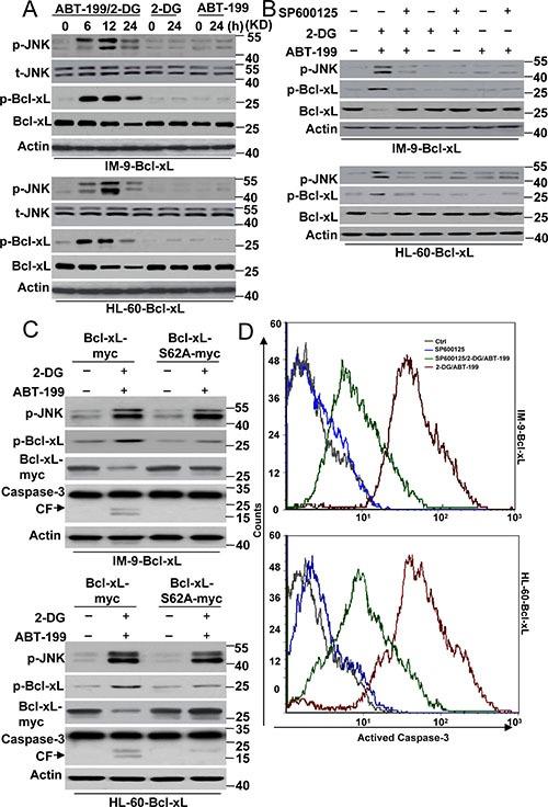 https://cdn.ncbi.nlm.nih.gov/pmc/blobs/738b/5355244/a83d2815c516/oncotarget-08-11042-g003.jpg