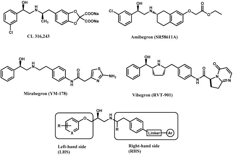 https://cdn.ncbi.nlm.nih.gov/pmc/blobs/738b/6099677/41462e50ed88/molecules-23-01191-g001.jpg