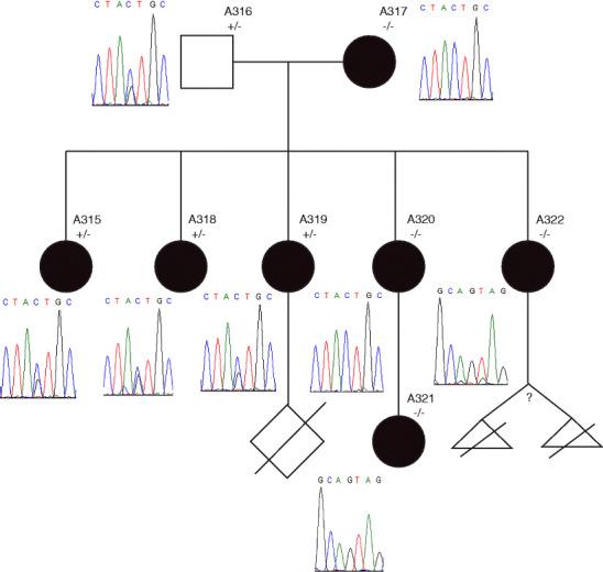 https://cdn.ncbi.nlm.nih.gov/pmc/blobs/738d/8246429/8c219bd82fd3/10897_2014_9737_Fig1_HTML.jpg