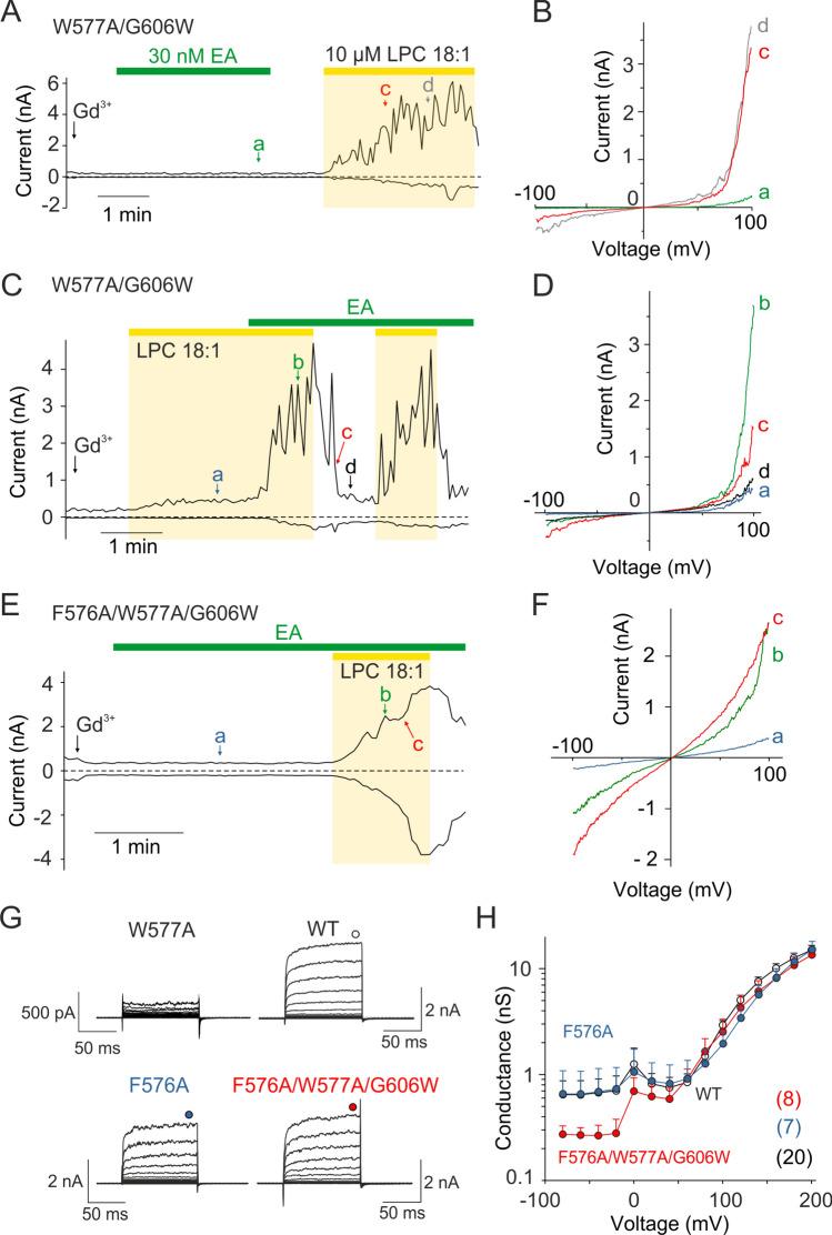 https://cdn.ncbi.nlm.nih.gov/pmc/blobs/7391/11362415/14c8160c9bca/18_2024_5417_Fig4_HTML.jpg