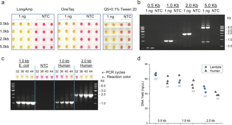 https://cdn.ncbi.nlm.nih.gov/pmc/blobs/7393/9492687/bb4a292d87ec/42003_2022_3973_Fig6_HTML.jpg