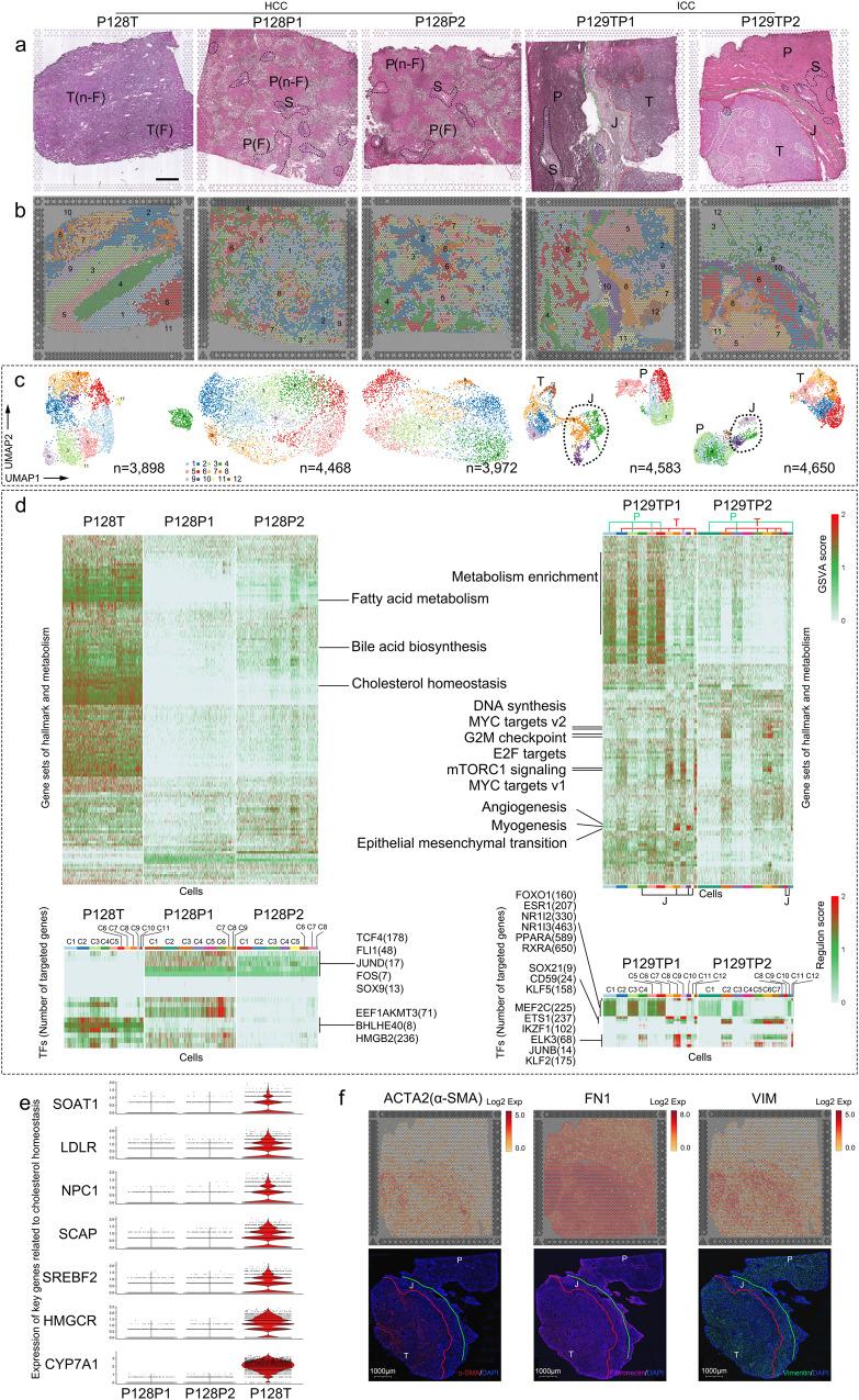 https://cdn.ncbi.nlm.nih.gov/pmc/blobs/7394/10661180/1347f32180b8/42003_2023_5455_Fig2_HTML.jpg