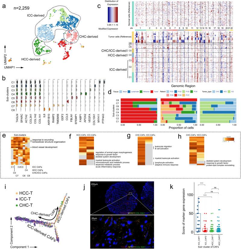 https://cdn.ncbi.nlm.nih.gov/pmc/blobs/7394/10661180/1ea9ca75ffee/42003_2023_5455_Fig4_HTML.jpg