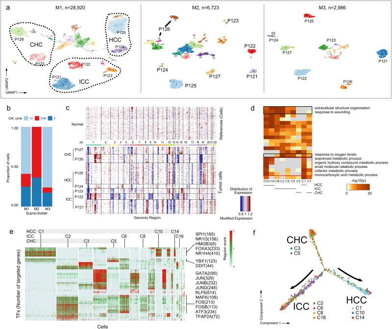 https://cdn.ncbi.nlm.nih.gov/pmc/blobs/7394/10661180/9db753a8c05a/42003_2023_5455_Fig3_HTML.jpg