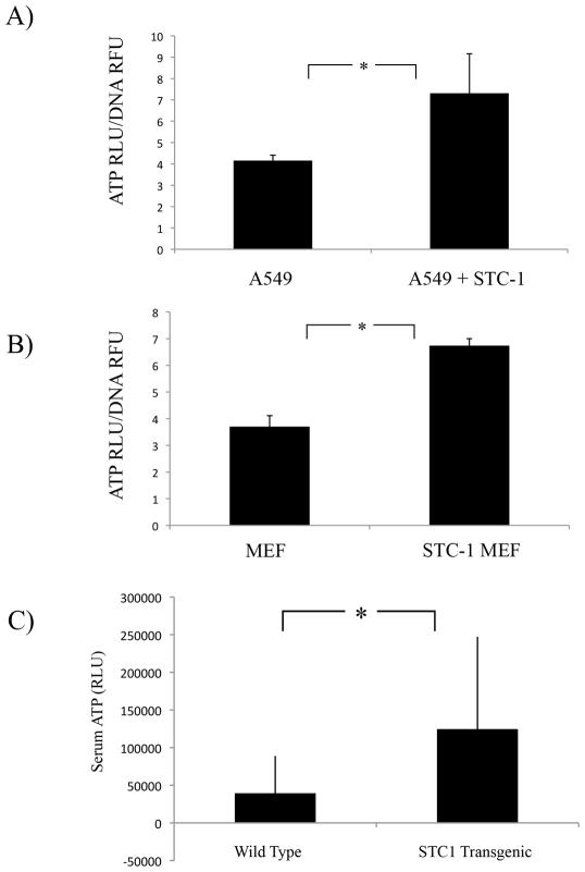 https://cdn.ncbi.nlm.nih.gov/pmc/blobs/7397/2857883/253922d35592/pone.0010237.g007.jpg