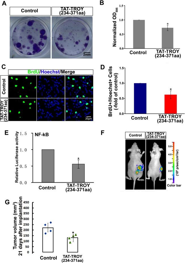 https://cdn.ncbi.nlm.nih.gov/pmc/blobs/7397/6372479/7dd3b2471f4d/41388_2018_503_Fig6_HTML.jpg