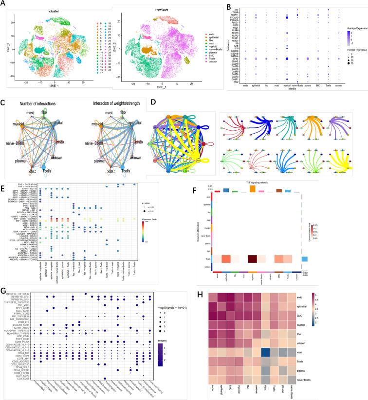 https://cdn.ncbi.nlm.nih.gov/pmc/blobs/739d/8603037/599c86f4faa5/fonc-11-755212-g005.jpg