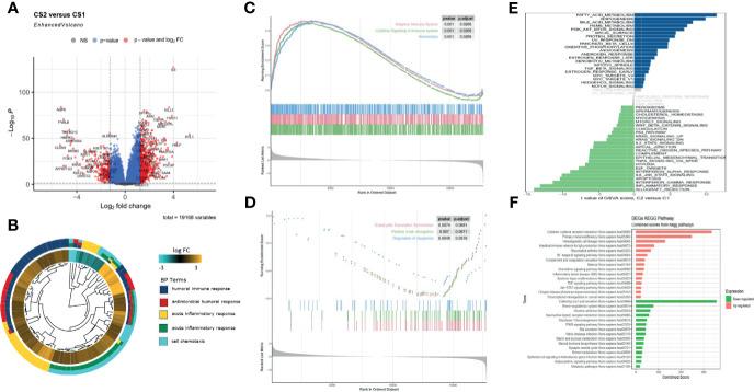 https://cdn.ncbi.nlm.nih.gov/pmc/blobs/739d/8603037/bba6a6bef834/fonc-11-755212-g003.jpg