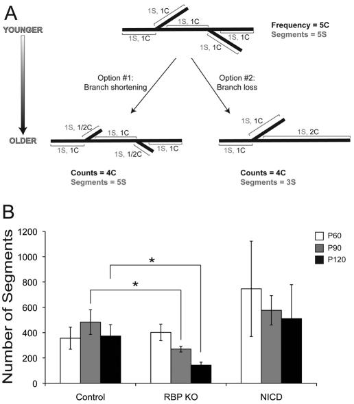 https://cdn.ncbi.nlm.nih.gov/pmc/blobs/739e/3097457/92aa8760f8dd/DMM005793F5.jpg