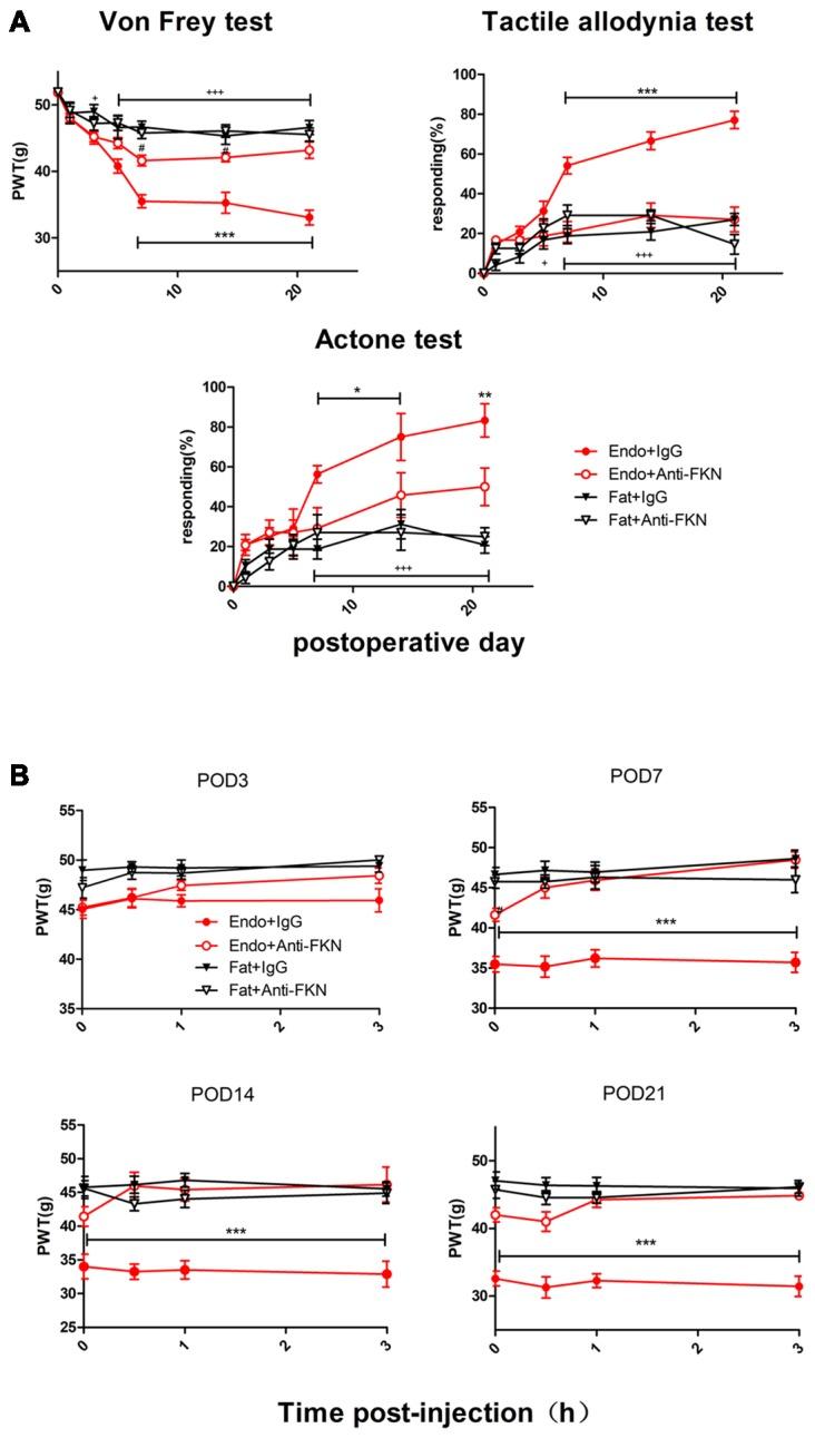 https://cdn.ncbi.nlm.nih.gov/pmc/blobs/739e/6309014/7f398f8c4076/fncel-12-00495-g0006.jpg