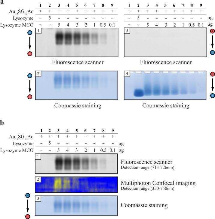 https://cdn.ncbi.nlm.nih.gov/pmc/blobs/739e/9814629/0fa1c7a7b192/42004_2021_497_Fig4_HTML.jpg