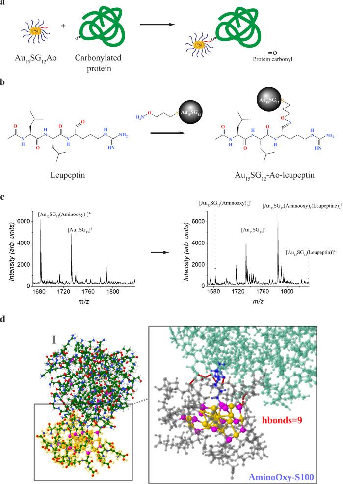 https://cdn.ncbi.nlm.nih.gov/pmc/blobs/739e/9814629/93a18fba0315/42004_2021_497_Fig2_HTML.jpg