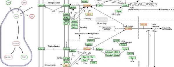 https://cdn.ncbi.nlm.nih.gov/pmc/blobs/739f/4084410/3d4d79bdb7ec/1471-2105-15-201-10.jpg