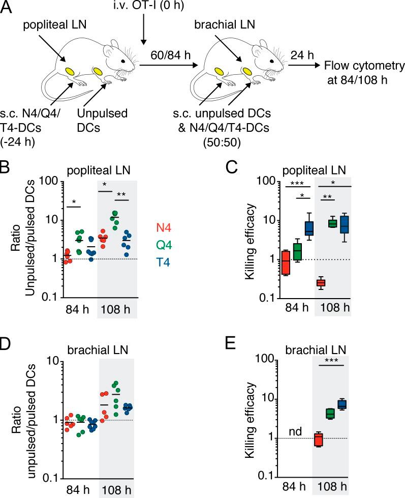 https://cdn.ncbi.nlm.nih.gov/pmc/blobs/739f/5110015/49c89cca4547/JEM_20160206_Fig7.jpg