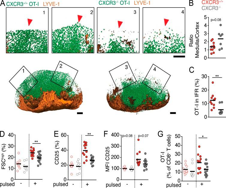 https://cdn.ncbi.nlm.nih.gov/pmc/blobs/739f/5110015/82e7fd9a1d25/JEM_20160206_Fig6.jpg